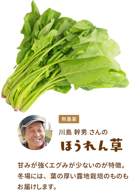 いつでも気軽にはじめられる-味が自慢の定期野菜セット-無農薬野菜のミレー-【食材宅配】有機野菜-無農薬野菜-無添加食品-定期宅配-通販-なら-ミレー (3)