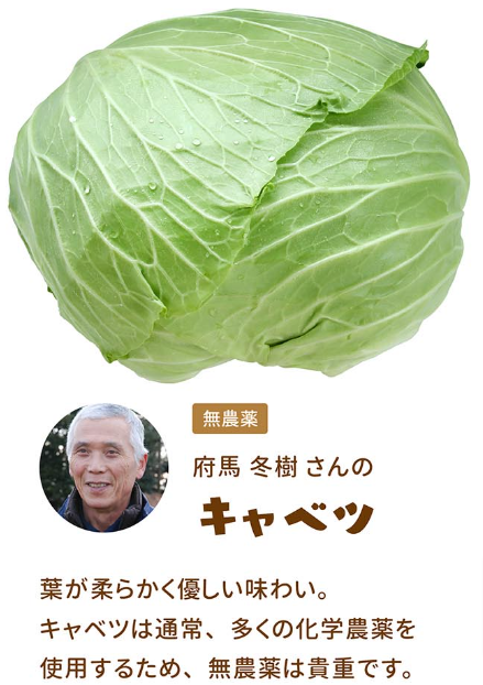 いつでも気軽にはじめられる-味が自慢の定期野菜セット-無農薬野菜のミレー-【食材宅配】有機野菜-無農薬野菜-無添加食品-定期宅配-通販-なら-ミレー (4)