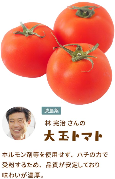 いつでも気軽にはじめられる-味が自慢の定期野菜セット-無農薬野菜のミレー-【食材宅配】有機野菜-無農薬野菜-無添加食品-定期宅配-通販-なら-ミレー (6)